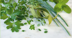 MARKET MANIA: Great dishes with regional ingredients